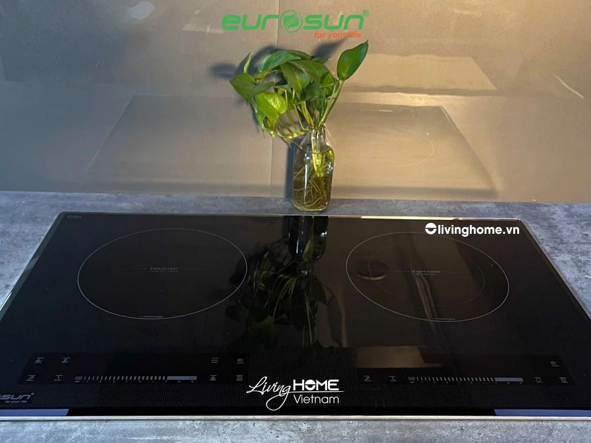 Bếp điện từ Eurosun EU-TE226Max 2 vùng nấu xuất xứ Malaysia - Ảnh 2