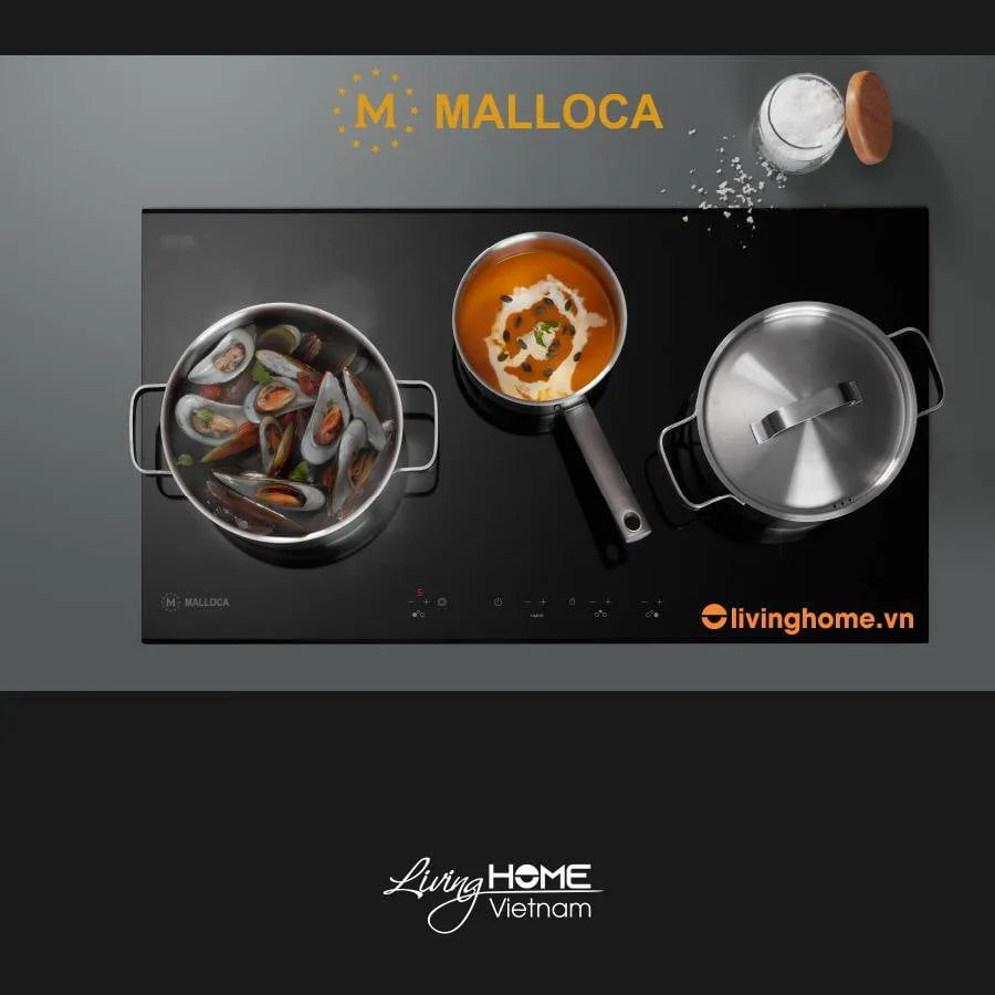 Bếp Điện Từ Malloca MH-03IR N 81CM 2 Từ 1 Điện Kính EuroKera - Ảnh 2