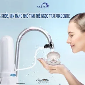 Máy lọc nước gắn vòi Geyser 1UH Euro để bàn 15 Máy lọc nước gắn vòi Geyser 1UH Euro để bàn