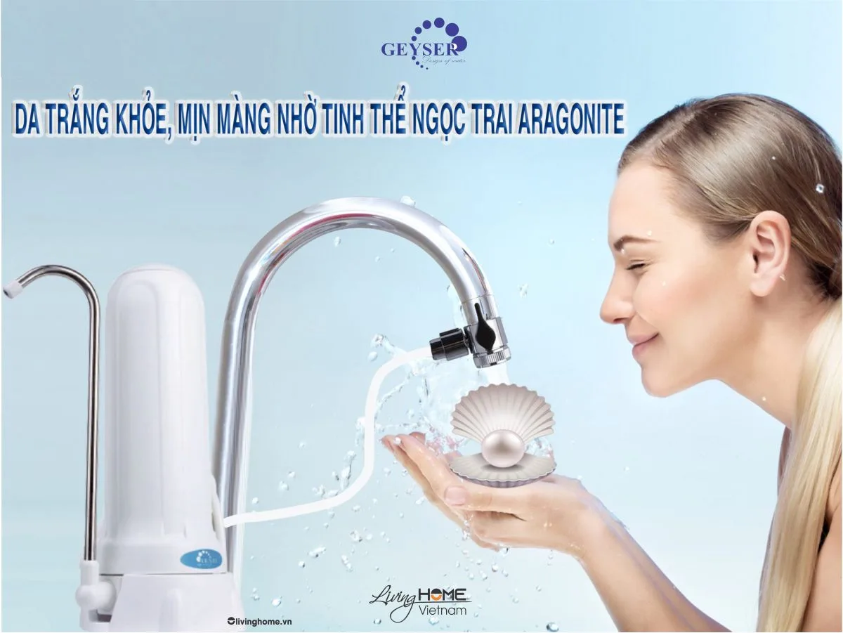 Máy lọc nước gắn vòi Geyser 1UH Euro để bàn 9 Máy lọc nước gắn vòi Geyser 1UH Euro để bàn - Ảnh 7