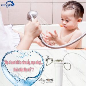 Bộ lọc nước thô đầu nguồn Geyser 1P