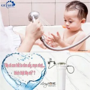 Bộ lọc nước thô đầu nguồn Geyser 1P 11 Bộ lọc nước thô đầu nguồn Geyser 1P