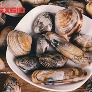 Máy rửa chén Texgio TG-DT2022B Bán Âm 6 Bộ Tự Mồi Nước