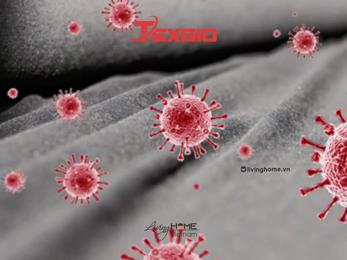 Máy sấy quần áo Texgio TG-DV802 thông hơi dung tích 8kg 6 Máy sấy quần áo Texgio TG-DV802 thông hơi dung tích 8kg - Ảnh 4