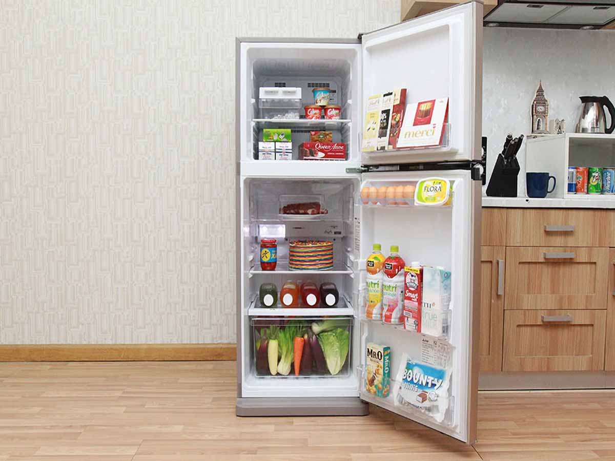 Tủ lạnh Mitsubishi electric MR-FV32EJ-PS-V 274 lít 