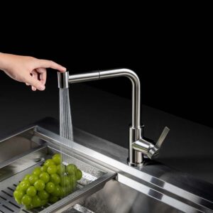 Vòi Rửa Chén Malloca Luxsteel K066-PO