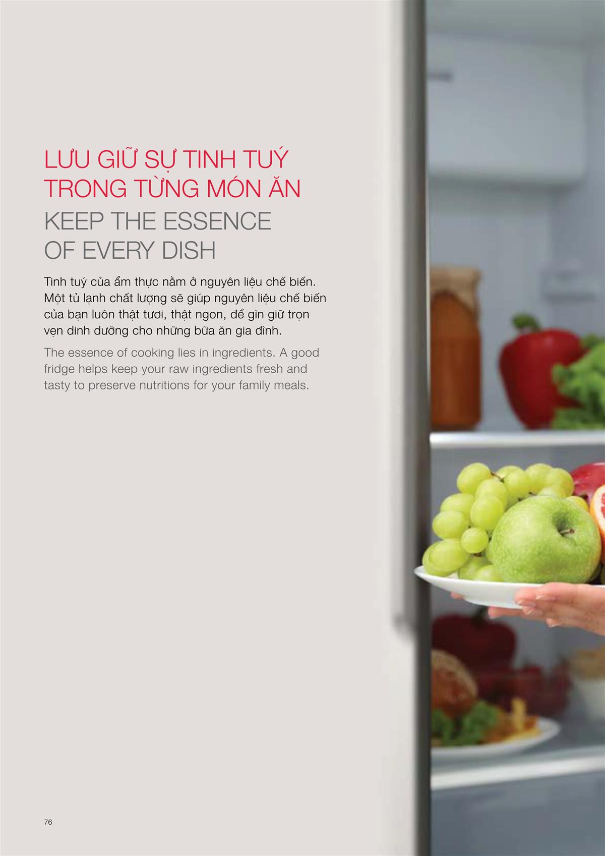 Catalogue Hafele Home Appliances 100 Catalogue Hafele Home Appliances