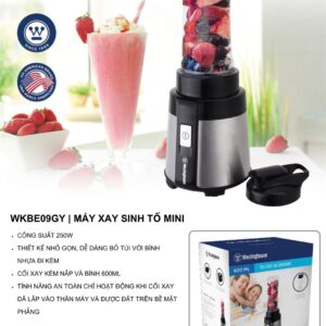 catalogue westing house 2023 16