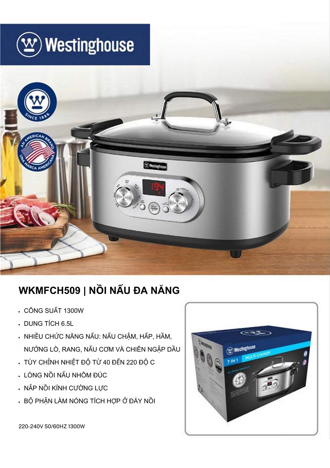 Catalogue Westinghouse 40 Catalogue Westinghouse 2023