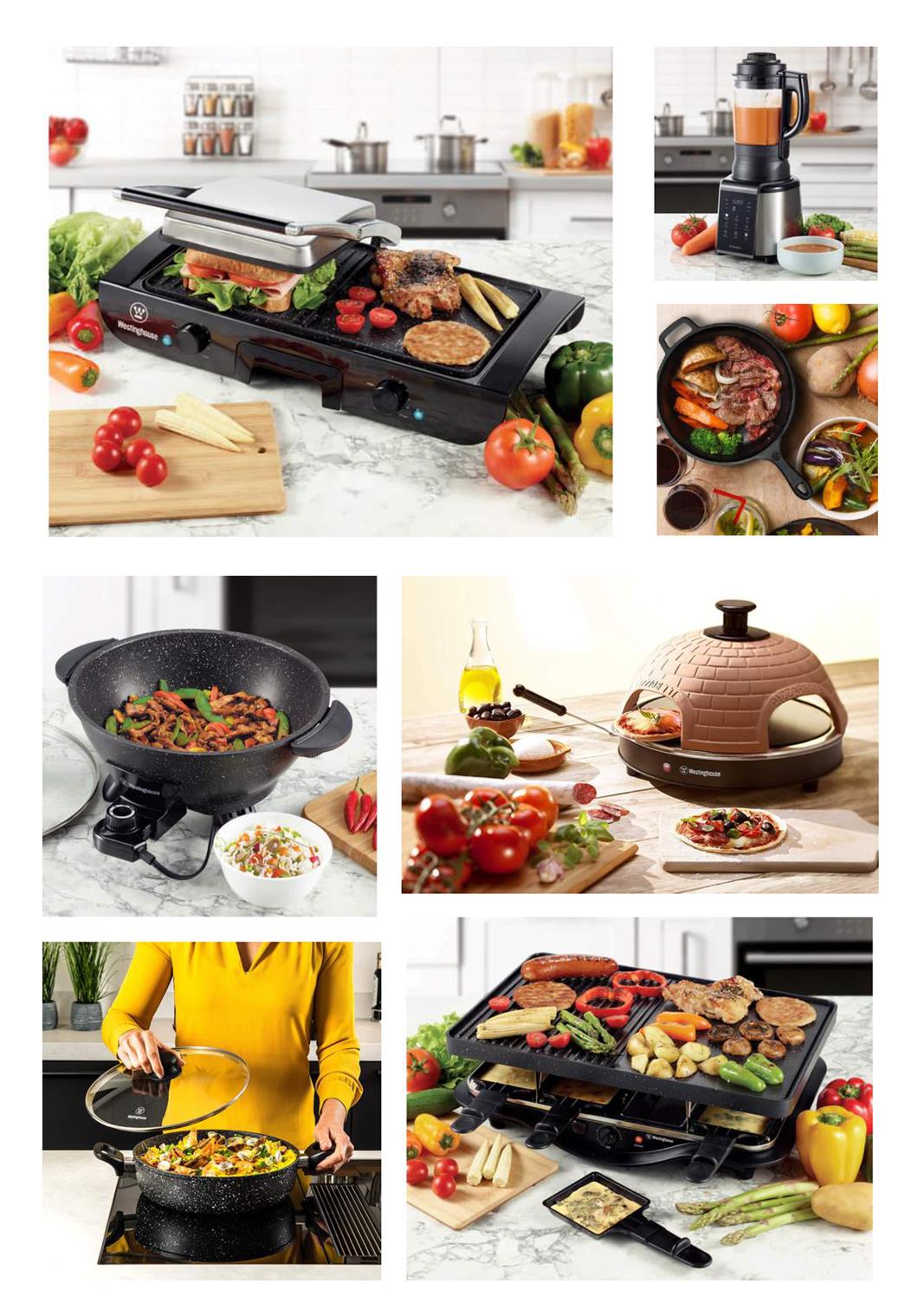 Catalogue Westinghouse 20 Catalogue Westinghouse 2023