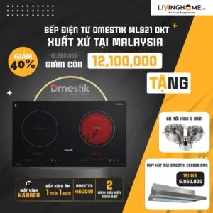 Combo Bếp Điện Từ Dmestik ML921 DKT Và Máy Hút Mùi Dmestik ES3090 DMK