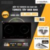 Combo Bếp Từ Tomate GH DUO-S2I Và Máy Hút Mùi Tomate TOM 1151 1 Combo Bếp Từ Tomate GH DUO-S2I Và Máy Hút Mùi Tomate TOM 1151
