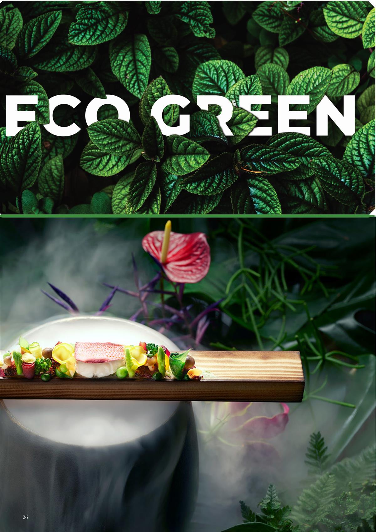 Catalogue Spelier 43 catalogue spelier 2023 19