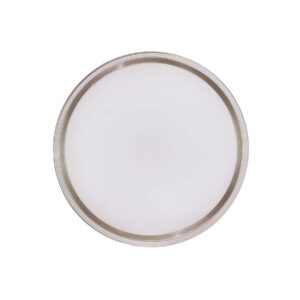 Quạt Trần Fanaway Evo1 7 QUẠT TRẦN MỸ FANAWAY EVO1