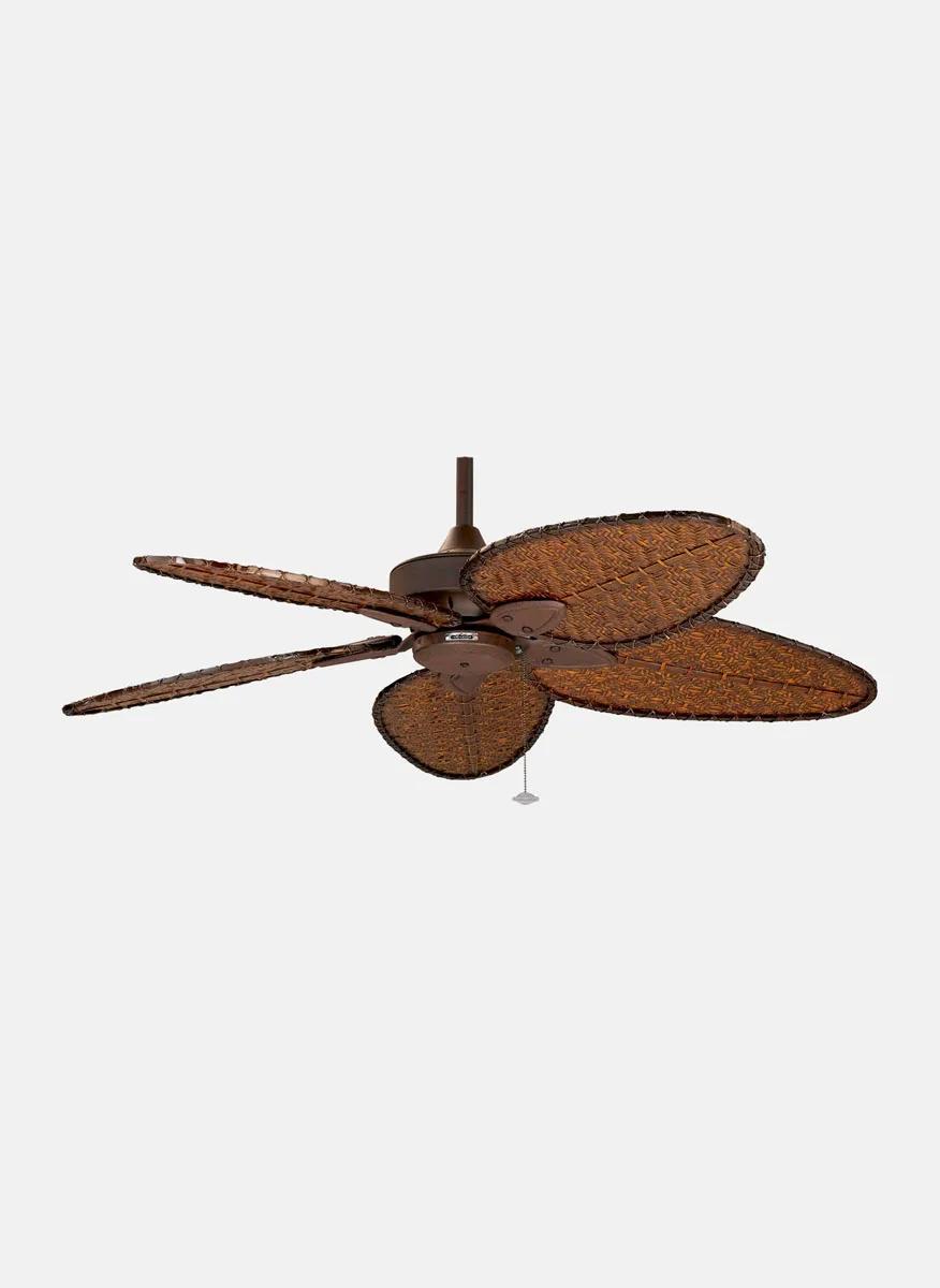 Quạt Trần Fanimation Windpointe 10 QUẠT TRẦN MỸ FANIMATION WINDPOINTE