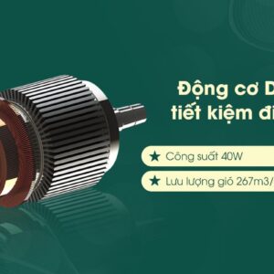 QUẠT TRẦN LUCCI ATLANTA