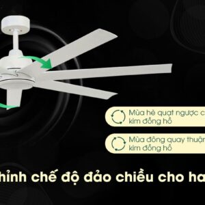 QUẠT TRẦN LUCCI ATLANTA