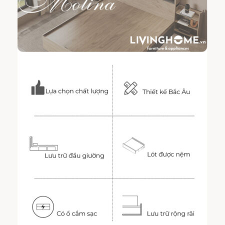 Giường ngủ Molina 14 Giường ngủ Molina