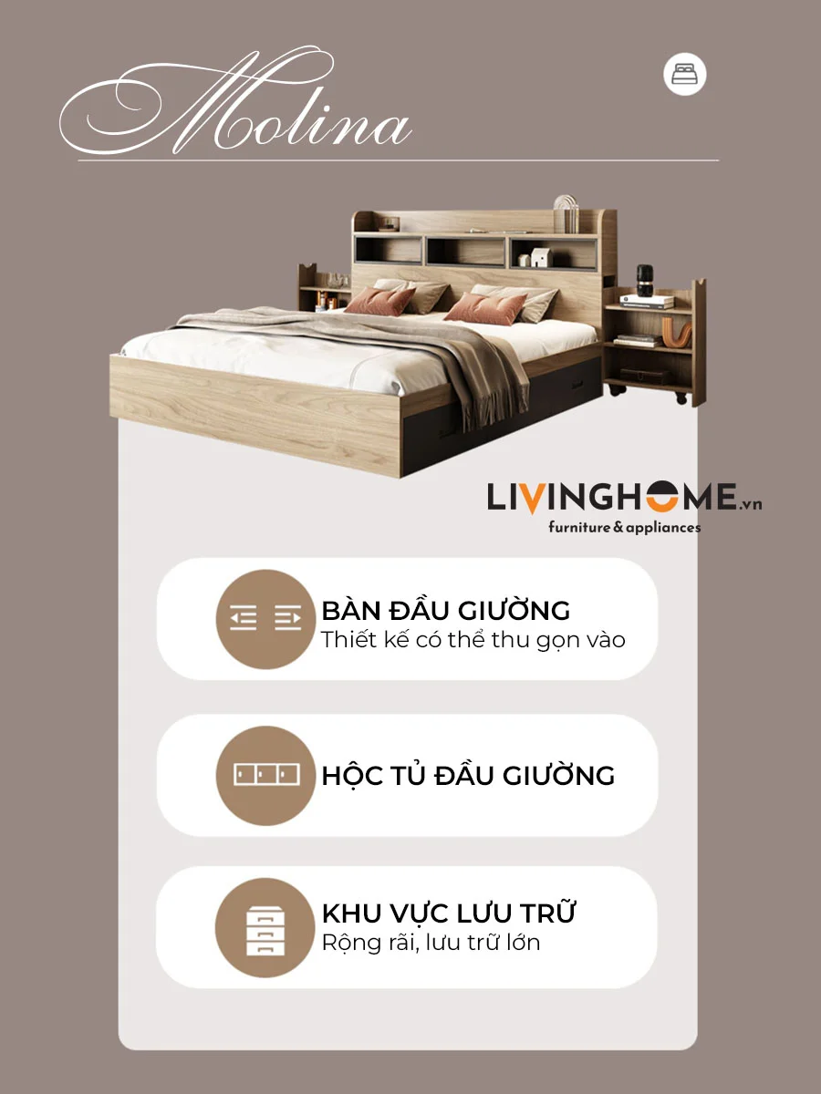 Giường ngủ Molina 24 Giường ngủ Molina