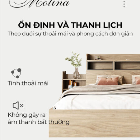 Giường ngủ Molina 18 Giường ngủ Molina