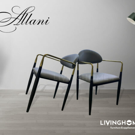 Ghế ăn Allani