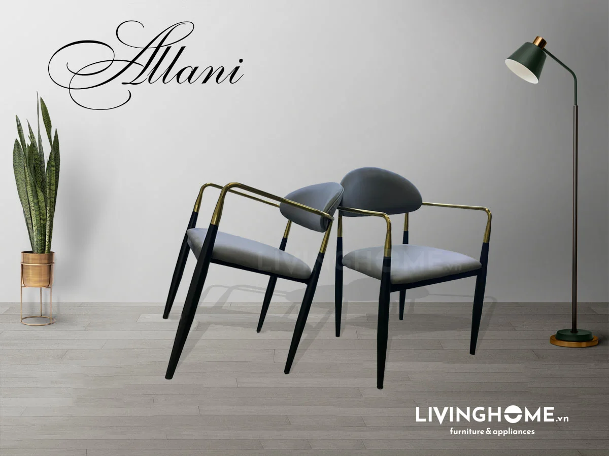 Ghế ăn Allani 14 Ghế ăn Allani
