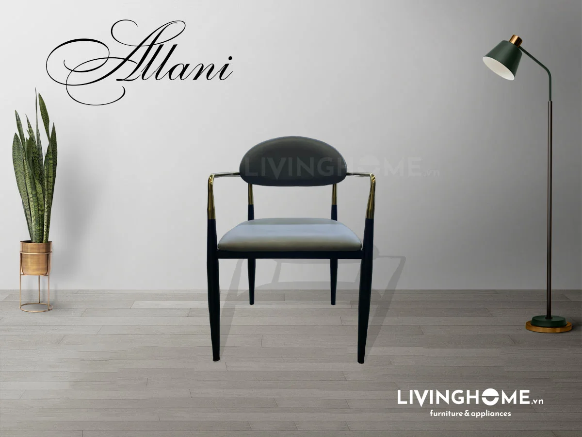 Ghế ăn Allani 15 Ghế ăn Allani