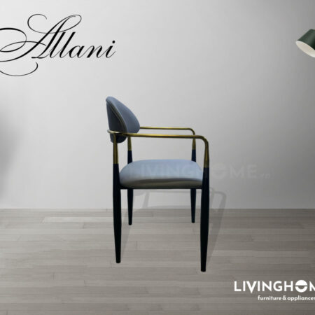 Ghế ăn Allani