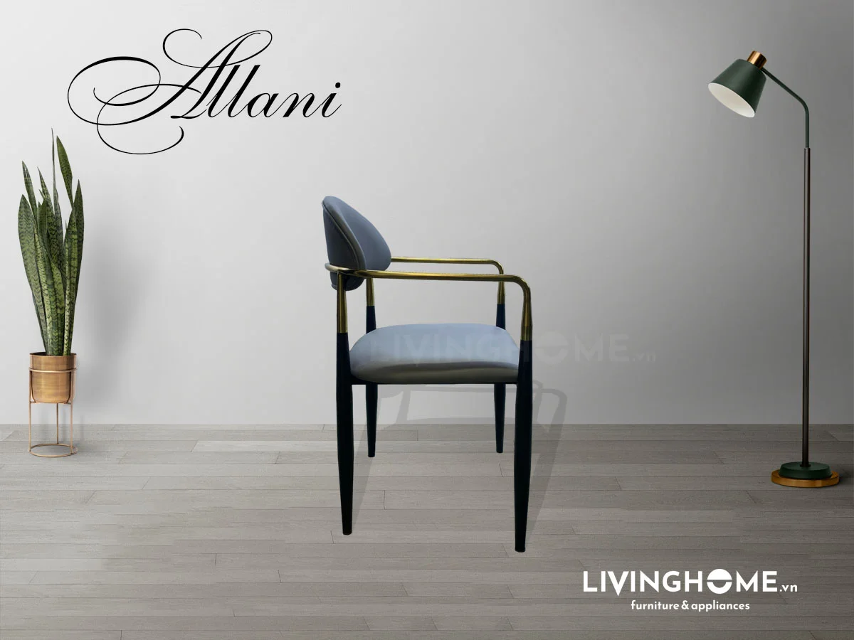 Ghế ăn Allani 17 Ghế ăn Allani