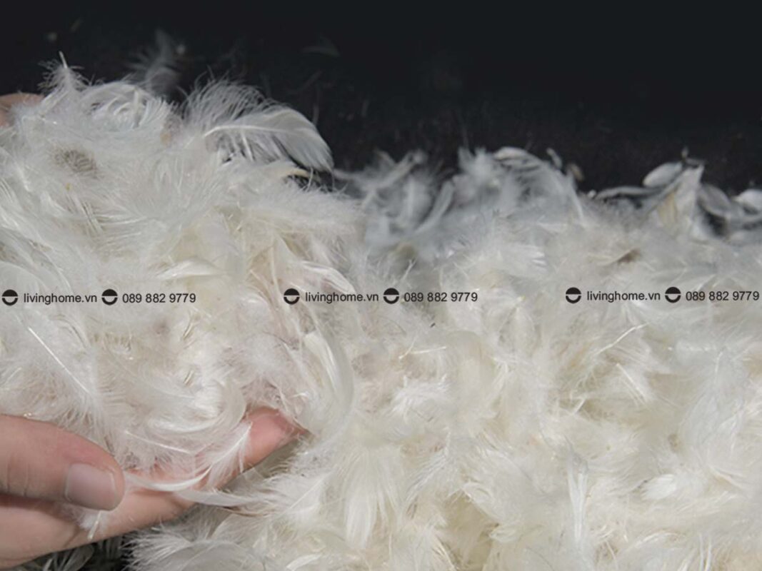 Sofa góc Gabriella da công nghệ cao cấp sang trọng 15 Sofa góc Gabriella da công nghệ