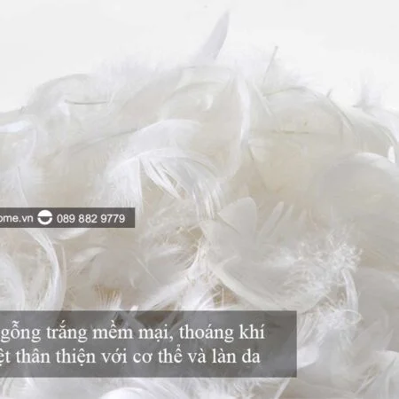 Sofa băng Roma vẻ đẹp hiện đại từ Thủ đô Ý 15 sofa băng roma