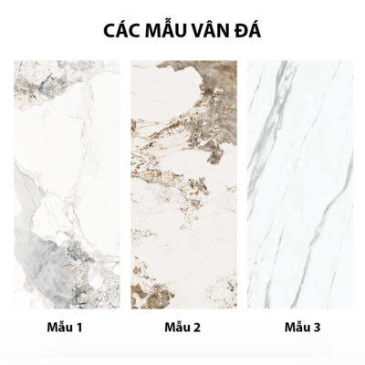 Tủ Rượu Cao Cấp Nhập Khẩu - RANI